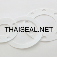 thermopack ptfe gasket