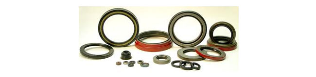 oil seal